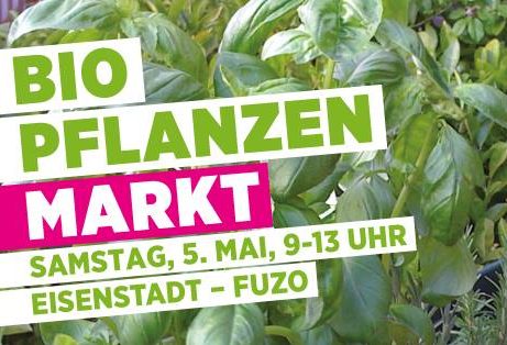 Pflanzenmarkt 2018